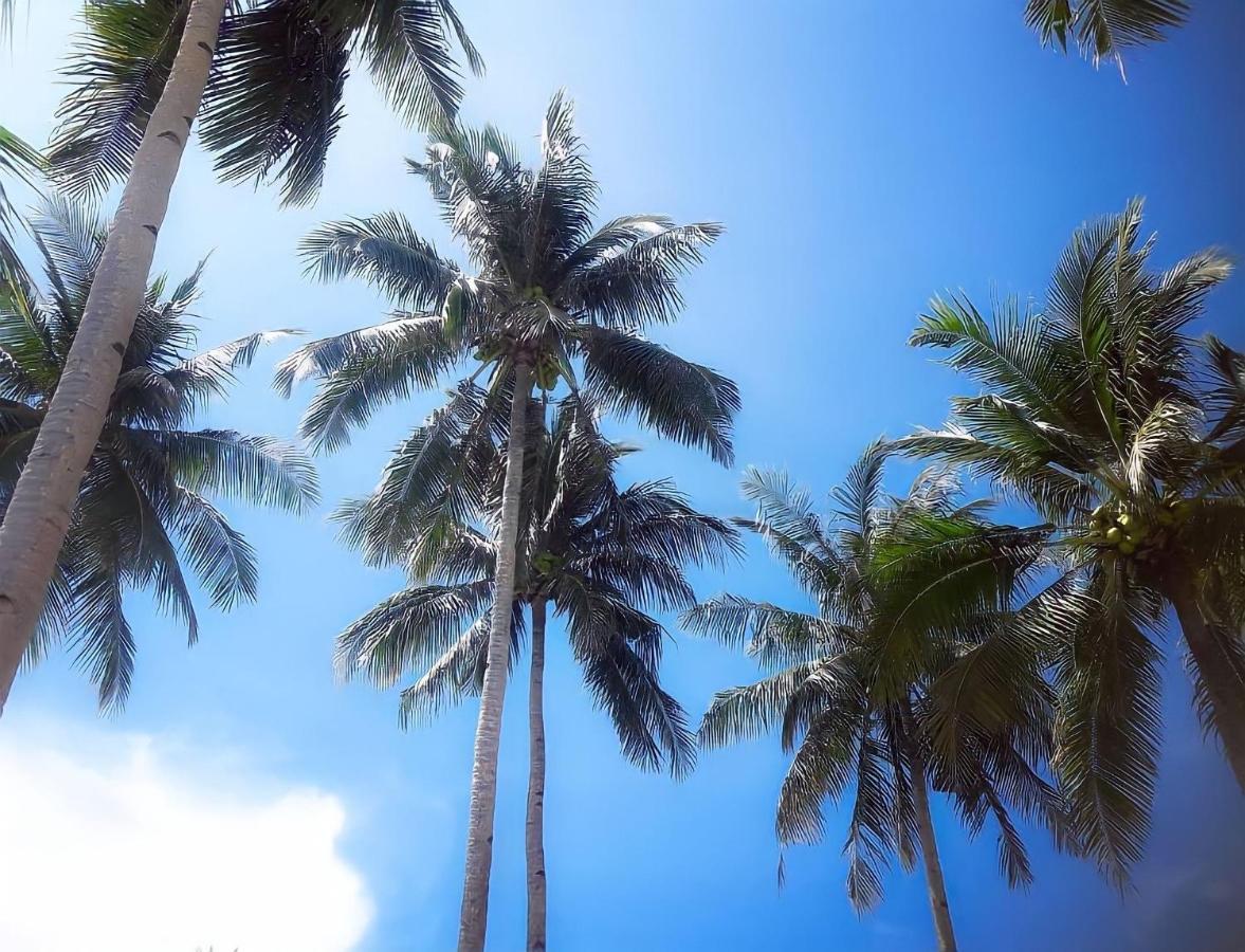 Siargao Sunflower Suites เจเนอรัลลูนา ภายนอก รูปภาพ