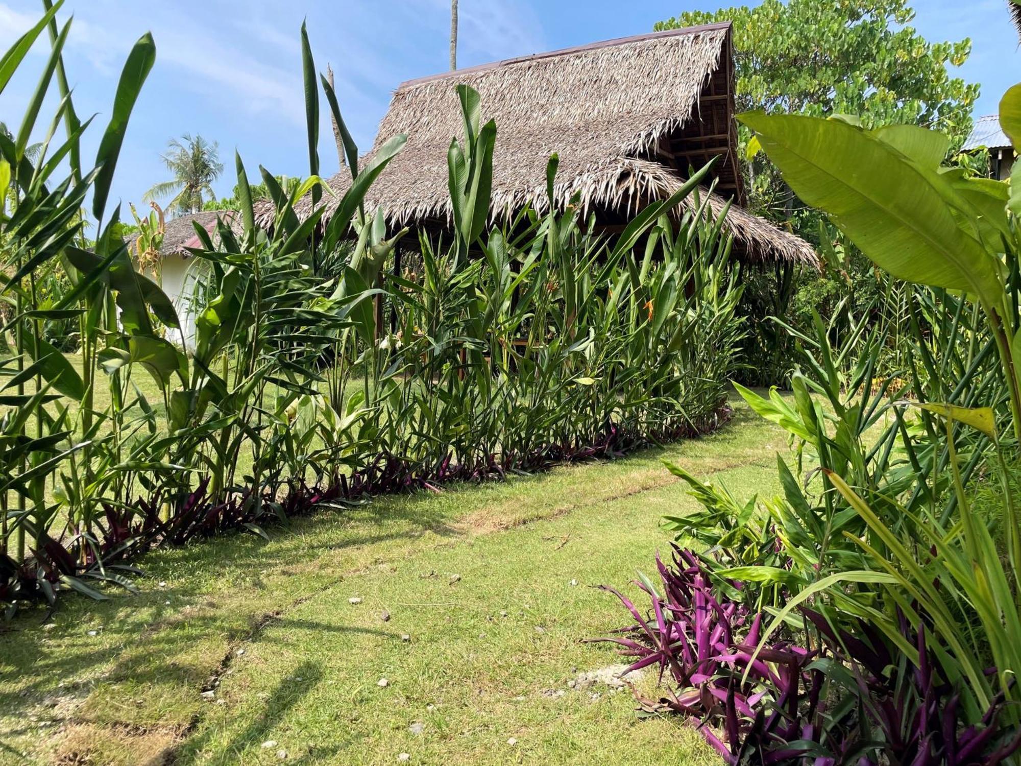 Siargao Sunflower Suites เจเนอรัลลูนา ภายนอก รูปภาพ