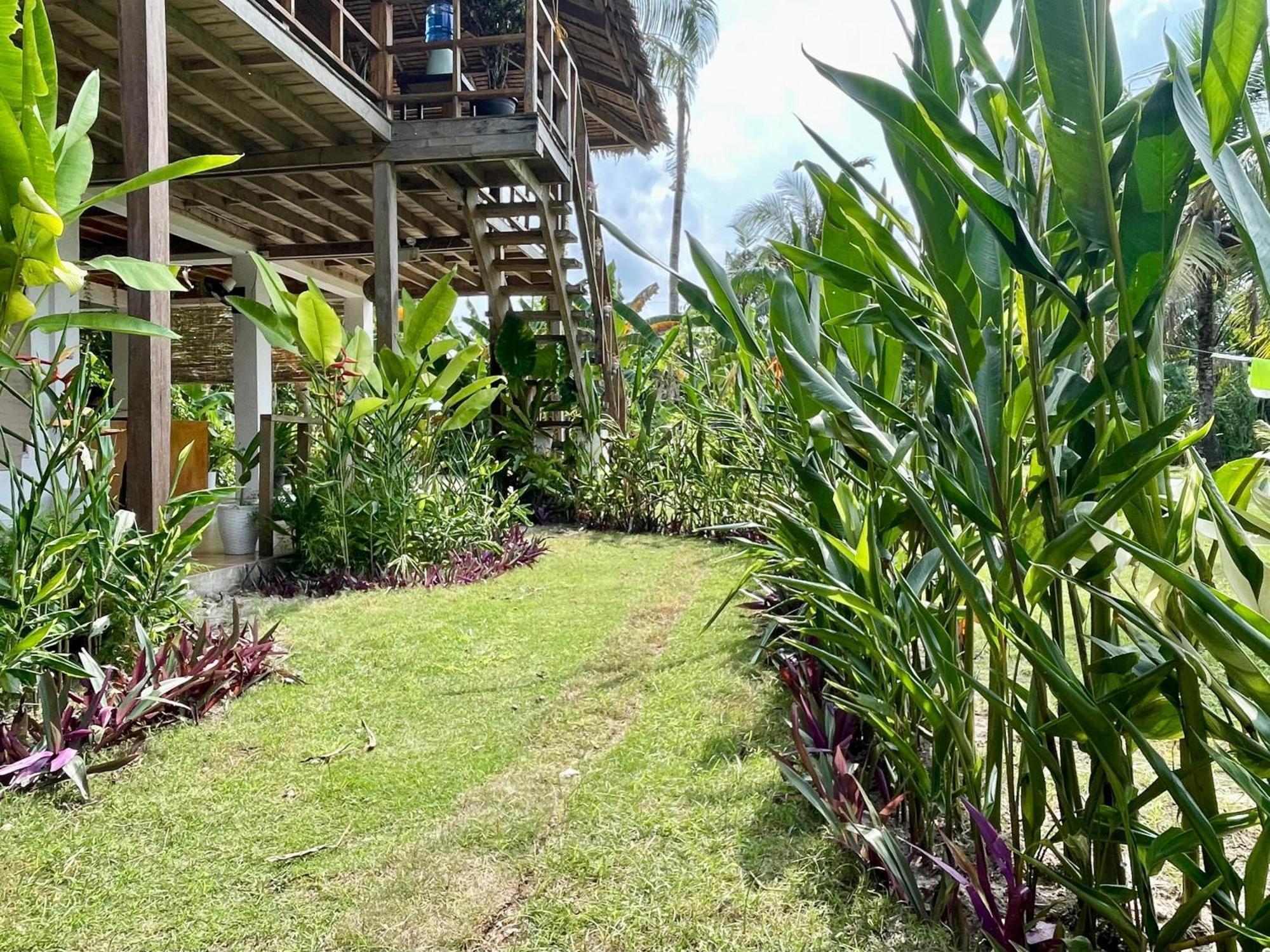 Siargao Sunflower Suites เจเนอรัลลูนา ภายนอก รูปภาพ